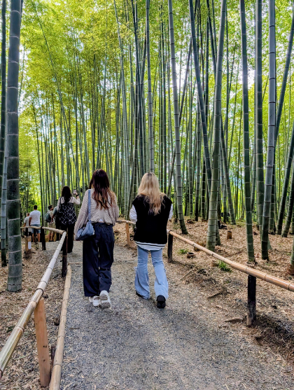 ニュース画像11